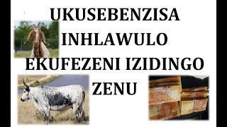 UKUSEBENZISA INHLAWULO EKUFEZENI IZIDINGO ZENU