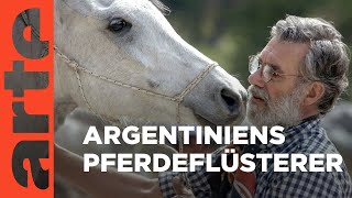 Argentinien: Von wilden Pferden und sanfter Hand | 360° Reportage | ARTE Family