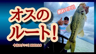 【今日のナンコ！2023.5.6】オスのルート！【琵琶湖バス釣り】