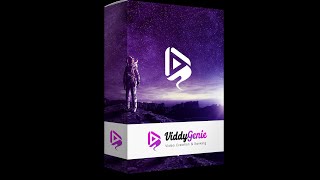 ViddyGenie Review-ViddyGenie Demo-ViddyGenie Example