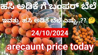 ಹಸಿ ಅಡಿಕೆಗೆ ಬಂಪರ್ ಬೆಲೆ ರೈತರಿಗೆ ಶಾಕ್ /ಇವತ್ತಿನ ಹಸಿ ಅಡಿಕೆ ರೇಟ್ ಎಷ್ಟು..?/24/10/2024 arecaunt price today