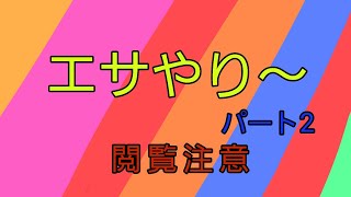 🐭🐍コーンスネークへの餌やり！！【閲覧注意】