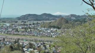 2017年5月3日　角館の桜　開花状況-14