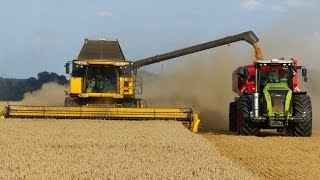 Wielkie Żniwa Stary Jaworów 2014 Milikowice | Big Harvest in Poland | 5x Lexion | 2x CR 9090