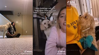 Call your dogs name when they’re right next to you