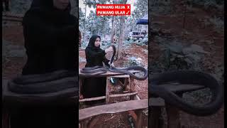 VIRAL - Pawang Ular Kobra Perempuan Yang Sangat Berani