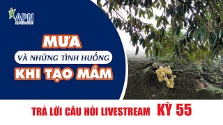 APN - TRẢ LỜI CÂU HỎI LIVESTREAM KỲ 55 | MƯA VÀ NHỮNG TÌNH HUỐNG KHI TẠO MẦM