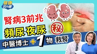 【頻尿夜尿傷腎?!】96%不知自己有腎臟病 中醫博士:觀察3徵兆【feat.中醫師 吳宏乾｜健康主播鄭凱云】