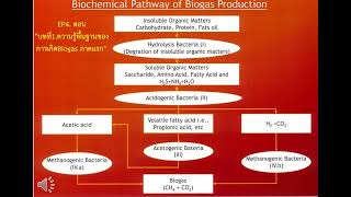 EP4 บทที่1.ความรู้พื้นฐานของการเกิดBiogas ภาคแรก