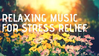 Meditation Music For Stress Relief | Beautiful Relaxing Music | Instrumental Music | Calm Music