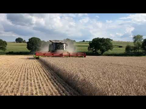 Lot 4 B&B Potatoes - YouTube