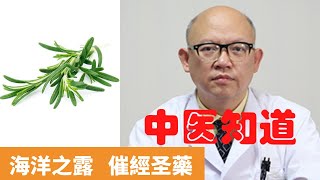 迷叠香的功效與作用【保健養生】生生不息