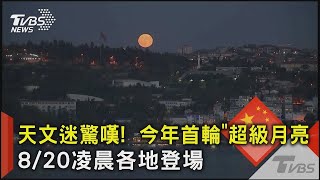 天文迷驚嘆!  今年首輪「超級月亮」8/20凌晨各地登場｜TVBS新聞