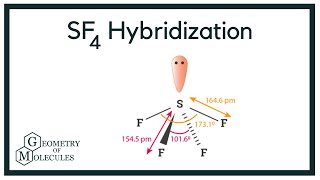 Hybridization of SF4 (Sulphur Tetrafluoride)
