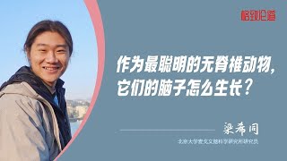 841｜梁希同：无脊椎动物里的“最强大脑”，竟有着如此复杂的神经系统…｜北京大学麦戈文脑科学研究所｜格致SELF