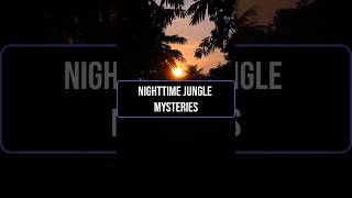 Nighttime Jungle Mysteries Discover why some animals thrive at night! #Nocturnal #Wildlife #History