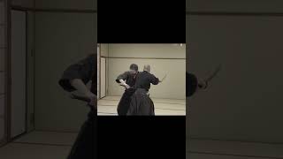 Samurai fight action!