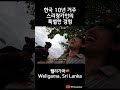 한국에서 10년 거주한 스리랑카 사장님의 특별한 경험 클라스 세계여행