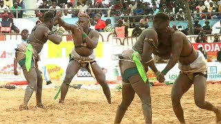 Baba Diakhal vs kirikou : combat bou nekh, khekh bou tang,  chute bou leer