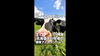 北海道産！！超濃厚アイスクリーム！！