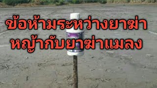 ข้อห้ามการใช้ยาคุมฆ่าหญ้าในนาข้าวกับยาฆ่าแมลง