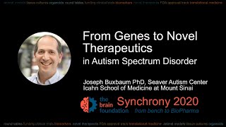 From Genes to Novel Therapeutics in Autism – J. Buxbaum, Icahn School of Medicine @Synchrony2020
