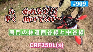 第909話　鳴門の林道西谷線と中谷線①【CRF250Ls × 2】