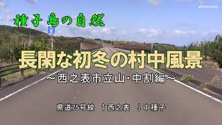 長閑な初冬の村中風景 西之表市立山・中割編～種子島の自然