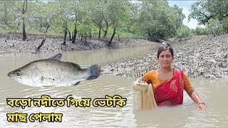 আজ বড়ো নদীতে এসে ভেটকি মাছ ধরলাম Sundarban river fishing