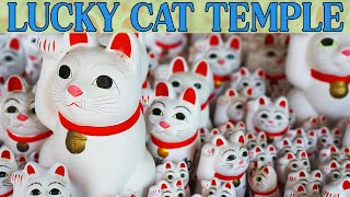 Birthplace of The Lucky Cat | Gotokuji Temple | Tokyo