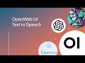 Text-to-Speech on Open WebUI: From Basic TTS to Realistic Voices with ElevenLabs API