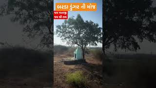 બરડા ડુંગર ની મોજ | barda dungar ni mojj #shorts #viral #tranding #trendingshorts #ayodhya #ram