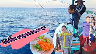 EP.21 ลุยทะเลตราด ตามหาปลาอินทรี #thailandfishing #fishing #ตกปลาทะเล #kohchang