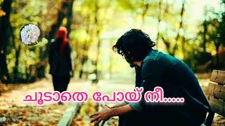 കാണാതെ പോയ്‌ നീ... ആനന്ദധാര കവിത ❣️ കവി ബാലചന്ദ്രൻ ചുള്ളിക്കാട്