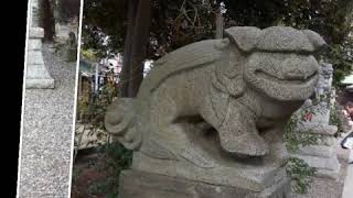 菊田神社に参拝