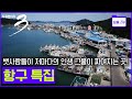 [모음zip🔴항구] 새벽 바다로 향하는 어민과 신선한 해산물이 가득한 항구 총집합 #주문진 #감천항 #삼천포 #구룡포 #흑산도 #후포항 | 다큐3일 | KBS 2008년🔁2015년