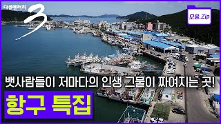 [모음zip🔴항구] 새벽 바다로 향하는 어민과 신선한 해산물이 가득한 항구 총집합 #주문진 #감천항 #삼천포 #구룡포 #흑산도 #후포항 | 다큐3일 | KBS 2008년🔁2015년