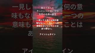 覚えておくと きっといつか役に立つ 世界の名言・格言 38 #名言　#格言　#金言　#心に残る言葉　#偉人の言葉　#人生　#座右の銘　#Shorts