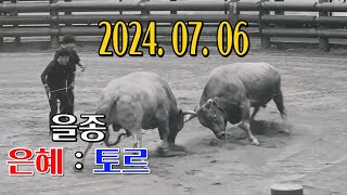 청도소싸움 2024.07.06  제11경기 을종 은혜 / 토르