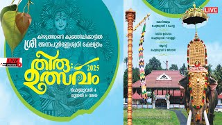 കിഴുത്താണി കുഞ്ഞിലിക്കാട്ടിൽ ശ്രീ അന്നപൂർണ്ണേശ്വരി ക്ഷേത്രം തിരുവുത്സവം 2025. LIVE.