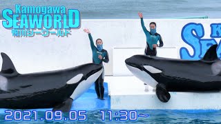 ◆鴨川シーワールド　シャチパフォーマンス（2021．09．05）11：30~ ◆【4K60P】