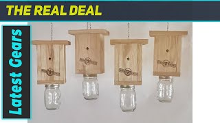 Original B Brothers Carpenter Bee Trap: Effective? Testing the BEST Trap!