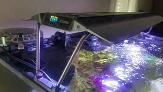 Maxspect RSX 200W