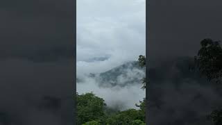 #arakarakan #araku #vizag #shortfeed #travel #rain #foggy #fog #mountains #feel #love #travel