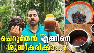 ചെറുതേൻ എങ്ങിനെ ശുദ്ധീകരിക്കാം ? | Cheruthen Engine Shudheekarikkaam ? | how to refine honey