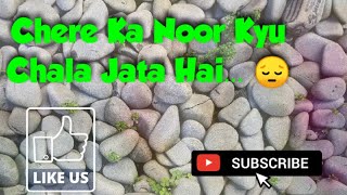 Chere Ka Noor Kyu Chala Jata Hai..|By Muhammad Ajmal Raza Qadri