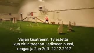 Nova kisatreenit 2 kertaa ja treeni 22.12.2017