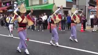 巴連（草加）／阿波踊り（流し）／菖蒲まつりパレード／葛飾菖蒲まつり2014