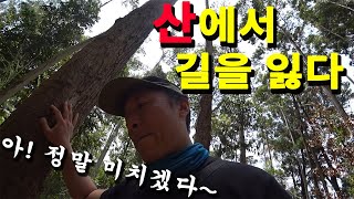 ep12산에서 길을 잃다_스리랑카_엘라락_ I get lost in the mountain_Sril lanka_Ella Rock