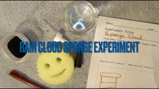 Rain Cloud Sponge Experiment